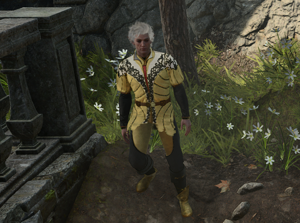 Amaunator - Baldur's Gate 3 Fashion Encyclopaedia