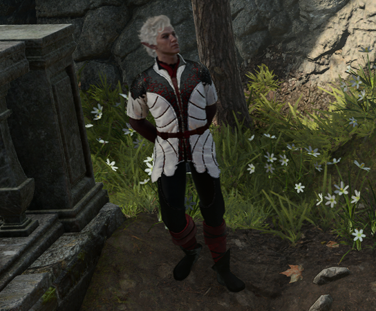 Drunk Batstarion - Baldur's Gate 3 Fashion Encyclopaedia