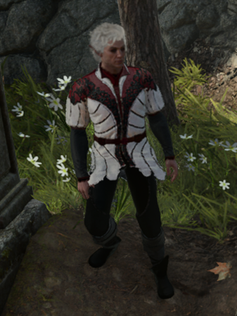 Batstarion - Baldur's Gate 3 Fashion Encyclopaedia
