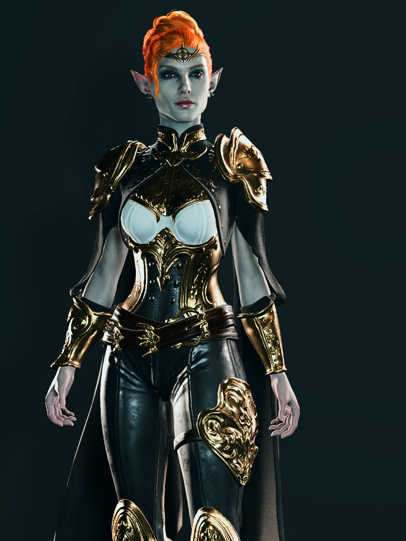 Royal Knight Set - Baldur's Gate 3 Fashion Encyclopaedia